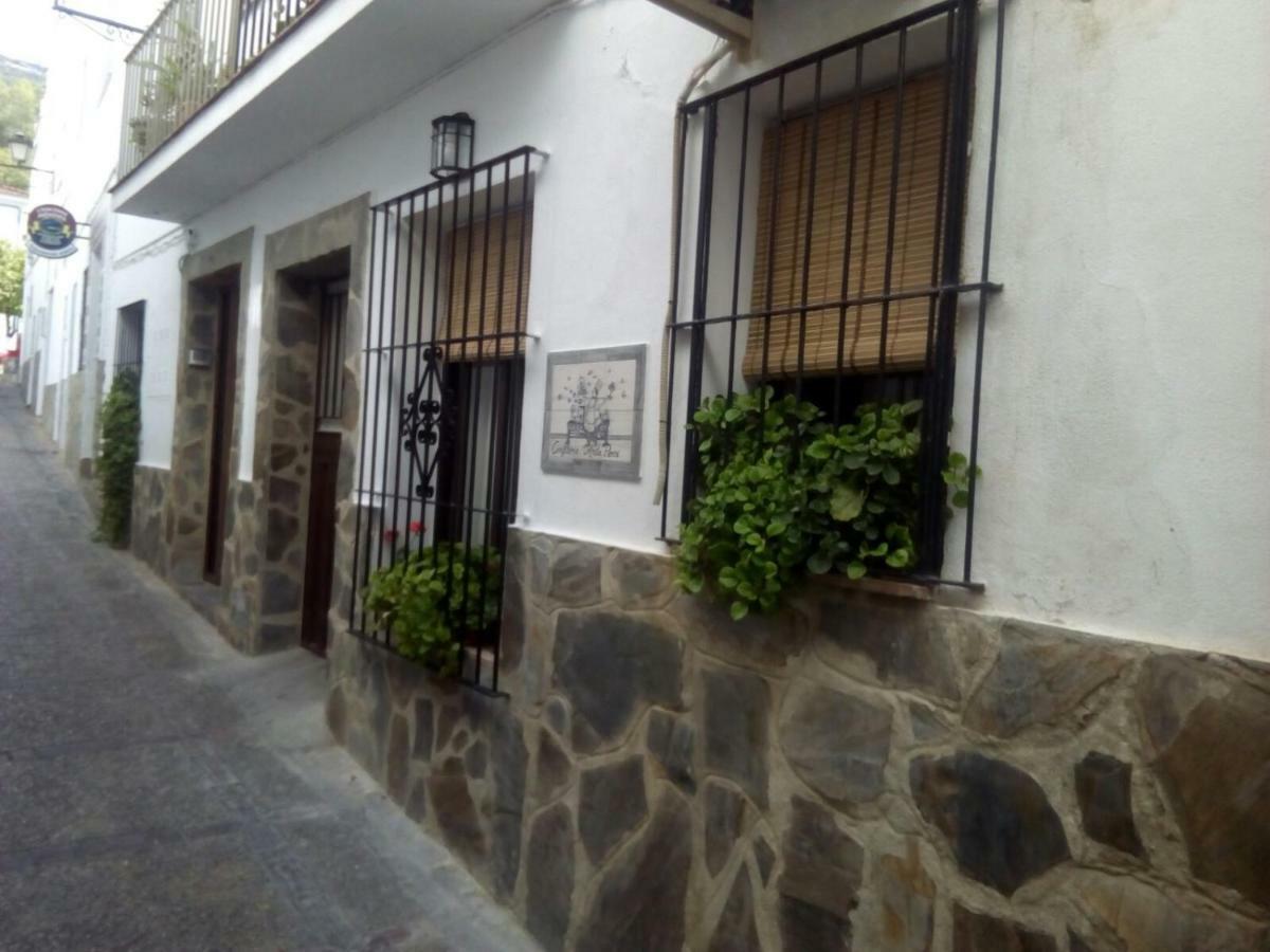Casa Rural Majaceite Pensionat El Bosque Exteriör bild